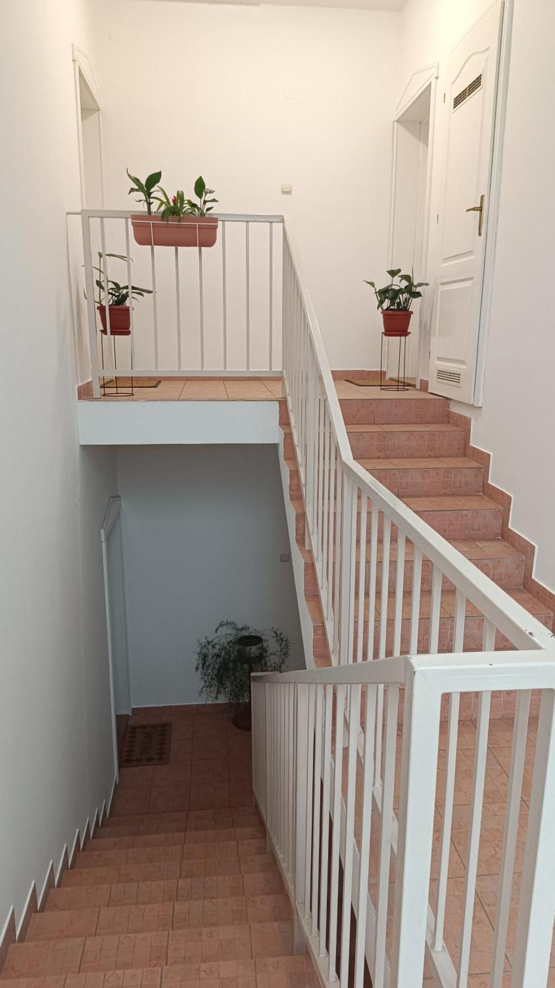 Dora Apartman Palic Exterior photo